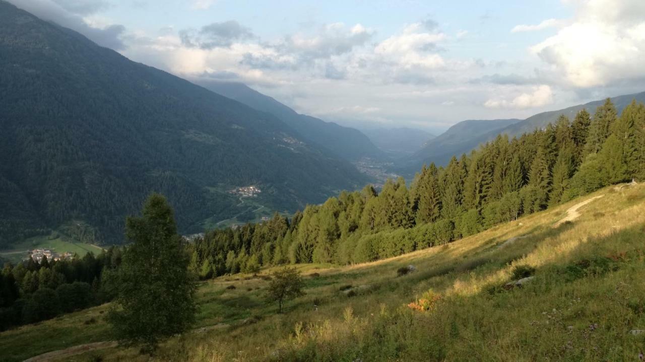 Appartamento Ventisei - Cipat 22114 Marilleva Eksteriør billede